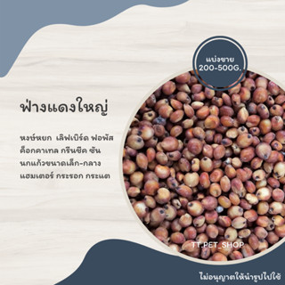 ฟ่างใหญ่(ขาว แดง)แบ่งขาย 200-500G. อาหารฟอพัส เลิฟเบิร์ด ค็อกคาเทล กรีนชีค