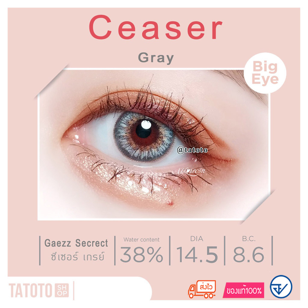 คอนแทคเลนส์สี ใส่สบาย ไม่แสบตา │ อย.ไทย │ ส่งจากไทย │รุ่นCeaser gray