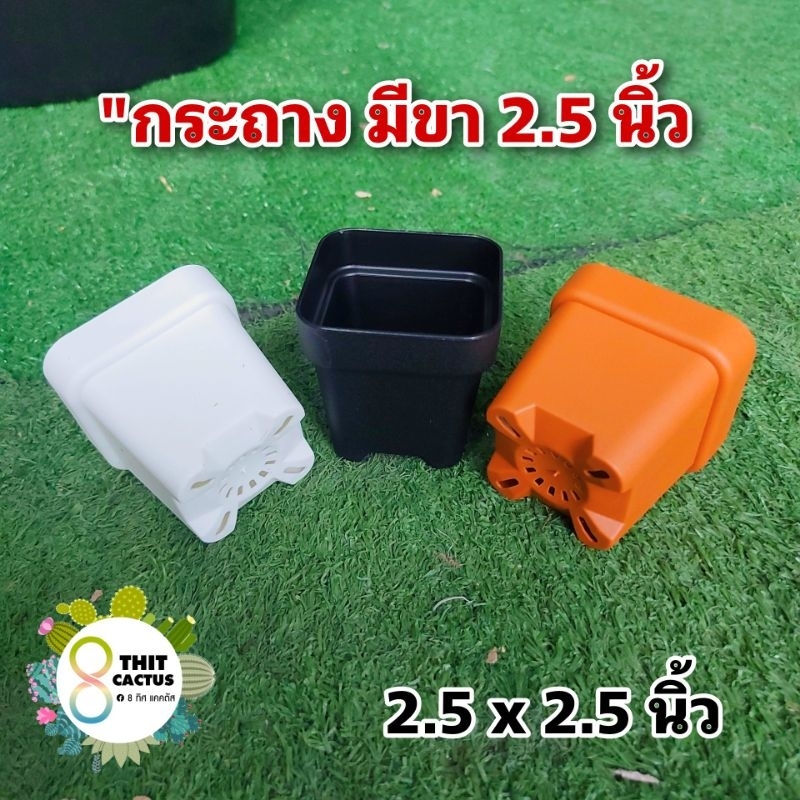 กระถาง สี่เหลี่ยม มีขา 2.5 นิ้ว // กด 50 ใบ 190 บาท -- 2.5 นิ้ว กระถางยกขา แคคตัส กระบองเพชร พลาสติก