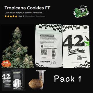 เมล็ดกัญชา Tropicana Cookies FF (Fast) - Fastbuds แพ็ค1เมล็ด