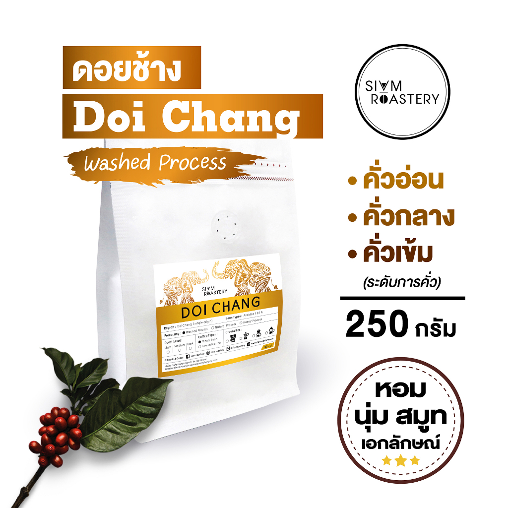 เมล็ดกาแฟคั่ว ดอยช้าง Doi Chang กาแฟดอยช้าง Washed Process (คั่วอ่อน|คั่วกลาง|คั่วเข้ม) 250 กรัม