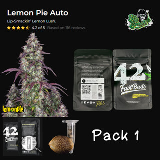 เมล็ดกัญชา Lemon Pie Auto- Fastbuds 1เมล็ด