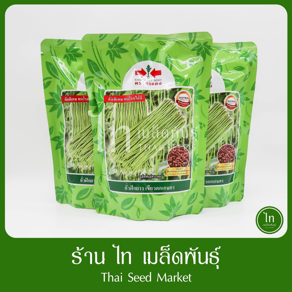 เขียวดกเกษตร ถั่วฝักยาว ทนทานไวรัส เมล็ดพันธุ์ ดก ทนไวรัส ฝักคู่เยอะ เคลือบสาร ศรแดง 500/ 100 กรัม