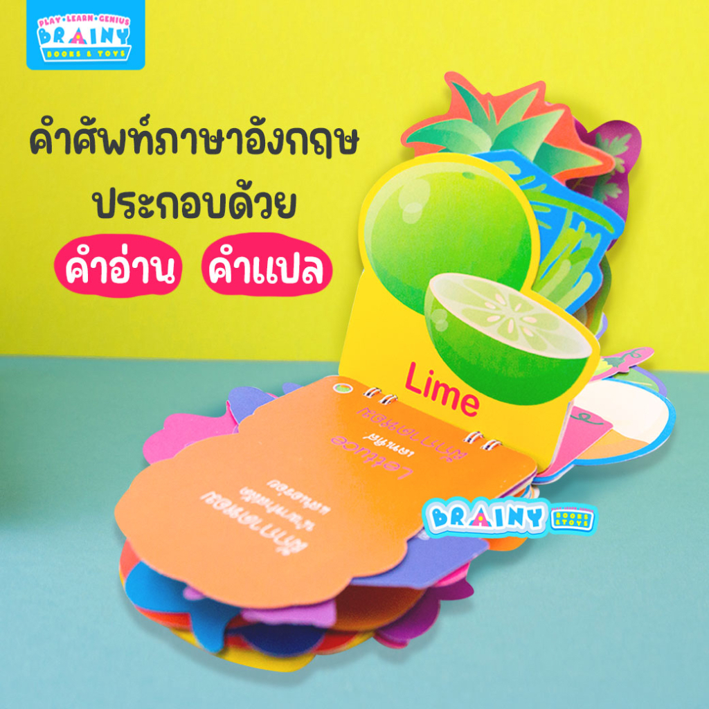 BrainyToys بطاقات مفردات للأطفال 5 فئات — صورة 2