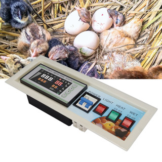 Pets Shop เครื่องฟักไข่ดิจิทัล Y พร้อมโพรบเซนเซอร์อุณหภูมิความชื้น 220V