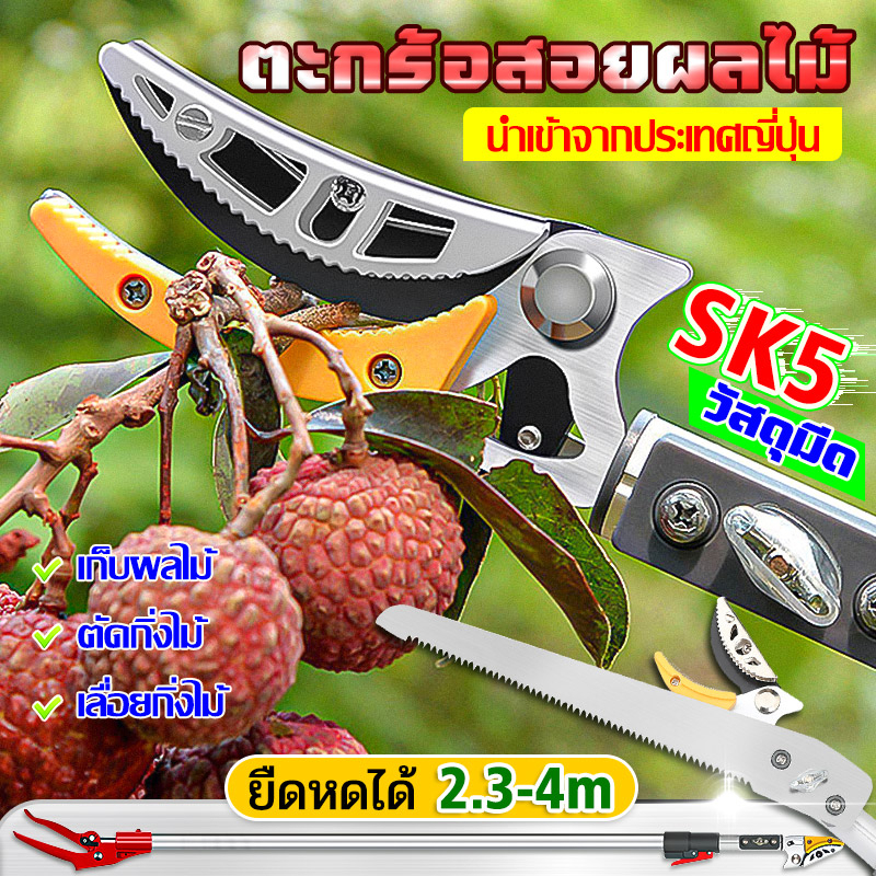 กรรไกรตัดหนีบผลไม้ด้ามยาว 4มSK-5ปรับความยาวได้ กรรไกรตัดกิ่งไม้สูง กรรไกรเก็บผลไม้ กรรไกรตัดหนีบ ตะกร้อสอยผลไม้