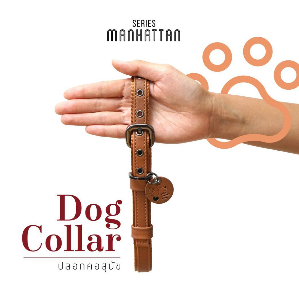 ปลอกคอสุนัข หมา DogCollar แบบหนัง เหมาะสำหรับสุนัขขนาดกลางและใหญ่ มี 3 สี ปรับขนาดได้