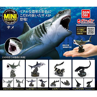 (ยกชุดพร้อมส่ง) กาชาปองปลาฉลาม Gashapon Bandai Shark Fish Mini Collection Vol.01 โมเดลสัตว์