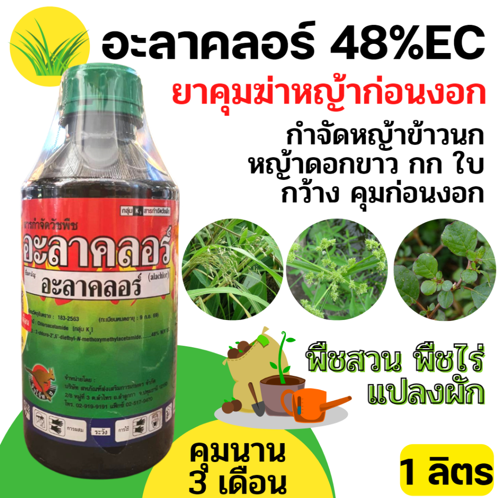 [1ลิตร][แดง] อะลาคลอร์  สารคุมวัชพืชใบแคบใบกว้าง ใช้ก่อนวัชพืชงอก หญ้าปากควาย ผักเบี้ยหิน หญ้าตีนนก ไมยราบหนาม