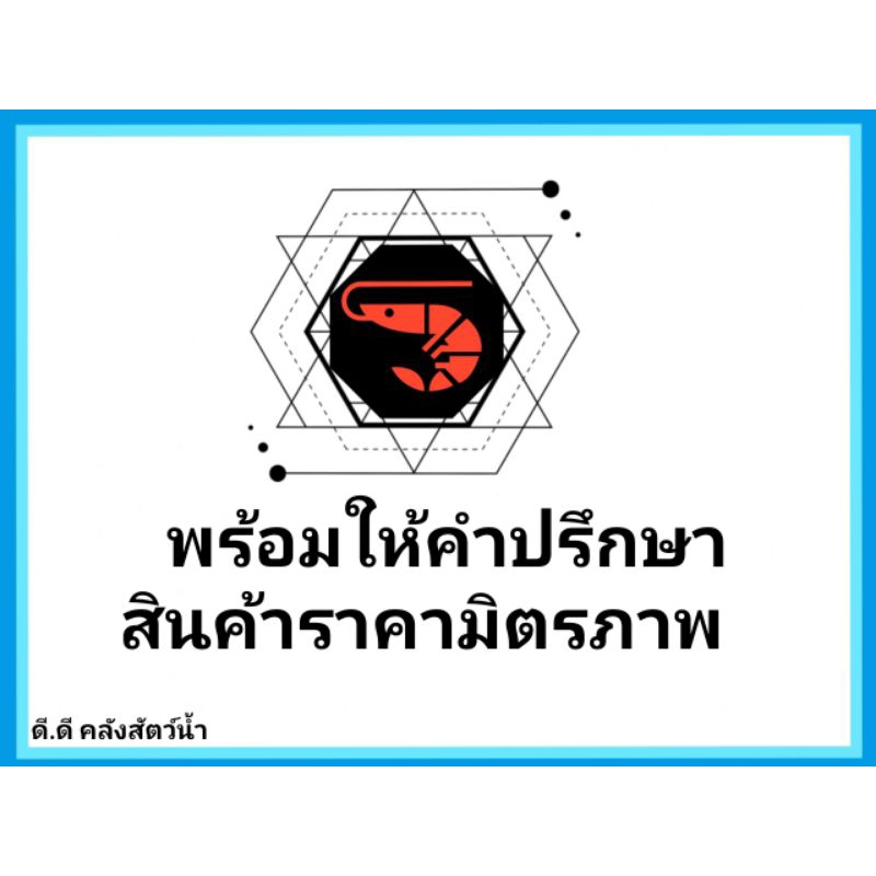 ยาฆ่าสาหร่ายชนิดเข้มข้น เข้มข้นกว่าสูตรทั่วไป 3 เท่า!!!  ขนาด 1 ลิตร
