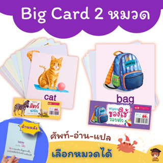 Big card 2 หมวด สัตว์ป่า+ของใช้ใกล้ตัว แฟลชการ์ด Flash Card การ์ดคำศัพท์พื้นฐาน บัตรคำ เสริมพัฒนาการเด็ก Mr.Beam