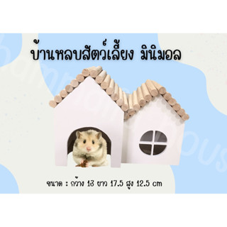 [Hammalia house] บ้านหลบสัตว์เลี้ยง สไตล์มินิมอล