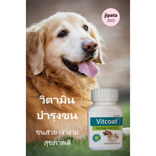 Vitcoat วิตามินรวม สุนัขและแมว บำรุงร่างกาย บำรุงผิวและเส้นขน (1 กระปุก 90 เม็ด)