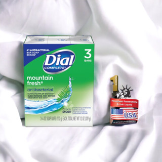 Dial Mountain Fresh สบู่ก้อนไดอัล เมาน์เทนเฟรช 339 กรัม/3ชิ้น (Bar Soap 339g./3pcs.)