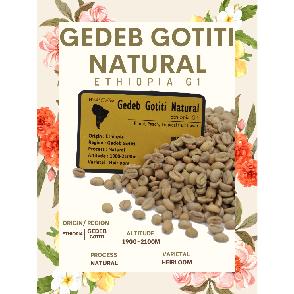  พร้อมส่ง เมล็ดกาแฟดิบ Gedeb Gotiti Ethiopia Natural process/ เมล็ดกาแฟนอก/เมล็ดกาแฟสาร เอธิโอเปีย