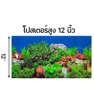 ภาพวิวตู้ปลาสูง12 นิ้วหรือ 30 ซม.โปสเตอร์ตู้ปลา มีภาพ 2 ด้าน สำหรับติดด้านหลังตู้ปลาไม่มีกาวในตัว ดูวิธีสั่งซื้อด้านล่าง