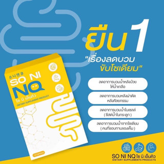 โซนิ เอ็นคิว Soni NQ