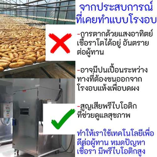 ผงกล้วยดิบ ออร์แกนิค ผงกล้วยดิบบด เคลือบแผลในกระเพาะ กินยาแก้กรดไหลย้อนกระเพาะมามากก็ไม่หาย ผงกล้วยน้ำว้าดิบ Dpasanaa