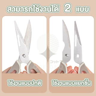 【COTTONO コットンノ】KIT02 กรรไกรสแตนเลสทำครัว สแตนเลส304 ใบมีดคม ไม่เป็นสนิม ใช้งานอเนกประสงค์ GK