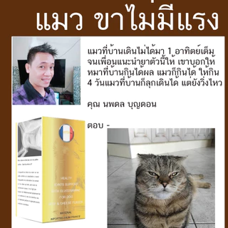 Calfle X แมว 30 เม็ด อาหารเสริมสำหรับแมว ขาไม่มีแsง