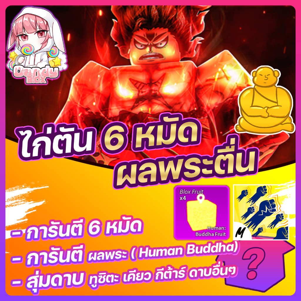 ไก่ตันพระตื่น 6หมัด ผลสุ่มในกล่อง สุ่มดาบโซโร และดาบทั่วไปอื่นๆ BLOX FRUIT Level 2450 (MAX) แมพ Blox