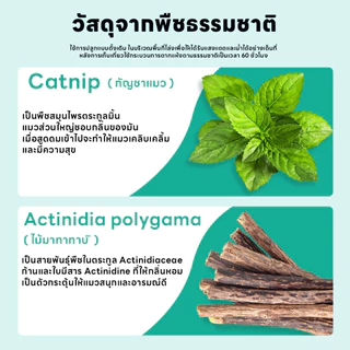 yoyopet : Catnip Lollipop อมยิ้มแคทนิปเสียบไม้มาทาบิ สมุนไพรแมวฟิน แคทนิปแมว ของเล่นแมว