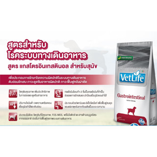 Vetlife VetLife-Gastrointestinal สูตรสำหรับสุนัขโรคระบบทางเดินอาหาร 2กก. ตับอ่อนอักเสบ เพิ่มความน่าทาน เก็บเงินปลายทาง