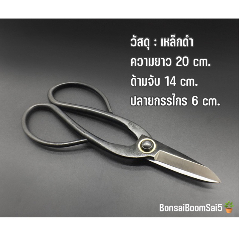 *พร้อมส่งจากไทย* กรรไกรตัดกิ่งทรงบอนไซ ขนาด 200mm. - รูปที่ 2