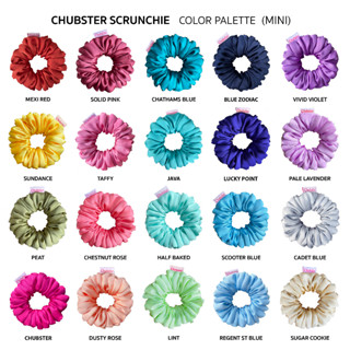 Color Palette mini-10cm. ยางมัดผม ผ้าซาติน Scrunchies ยางรัดผมโดนัท