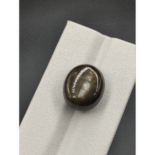 Black Star Sapphire ( 19.5 ct. ) แบล็คสตาร์ เเซฟไฟร์ ทรงหลังเบี้ย 19.5 กะรัต