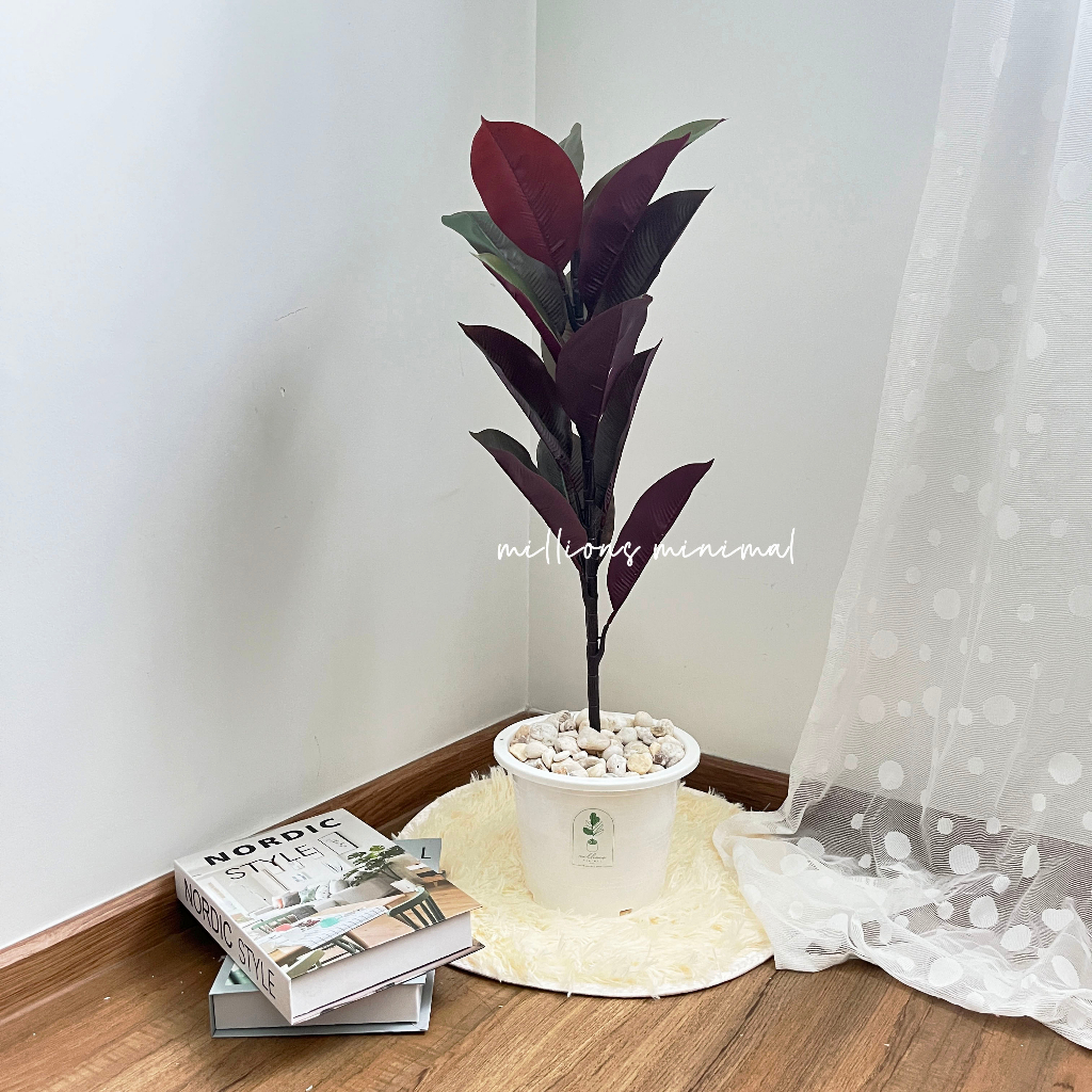 ราคาถูกที่สุด ต้นไม้ปลอม ต้นไทรใบสัก ต้นมอนสเตอล่า พร้อมกระถางแถมฟรีหิน - รูปที่ 4