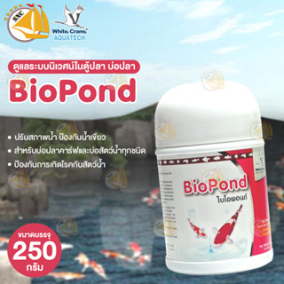 Biopond ไบโอพอนด์ ดูแลระบบนิเวศน์ในตู้ปลา/บ่อปลา 250g ปรับสภาพน้ำ - ลดตะไคร่ - ลดของเสีย