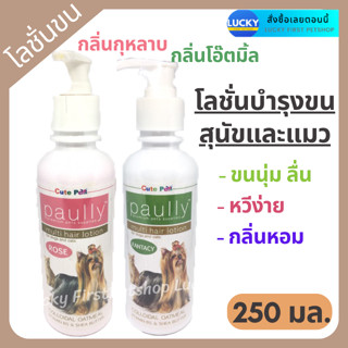 โลชั่นบำรุงขนแมว Paully Hair Lotion โลชั่นบำรุงขนสำหรับแมว โลชั่นแมวขนนุ่ม ครีมนวดขนแมว ขนนุ่ม สวย หอม