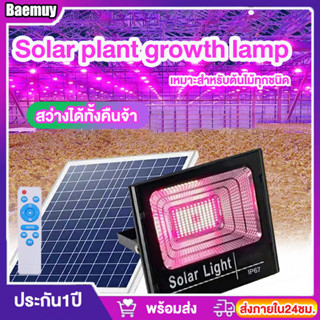 ไฟปลูกต้นไม้ โคมไฟปลูกต้นไม้โซล่าเซลล์ แสงสีม่วง300W ไฟปลูกต้นไม้led  Solar plant growth lamp