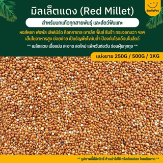 มิลเล็ตแดง Red Millet เกรดA ไร้ฝุ่น อาหารนก อาหารธัญพืชสำหรับนก (แบ่งขาย 250G / 500G / 1KG)