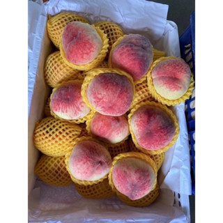 พร้อมส่ง‼️ 1KG 🍑พีชน้ำผึ้งหอมๆฟินๆ พีชสด peach🍑