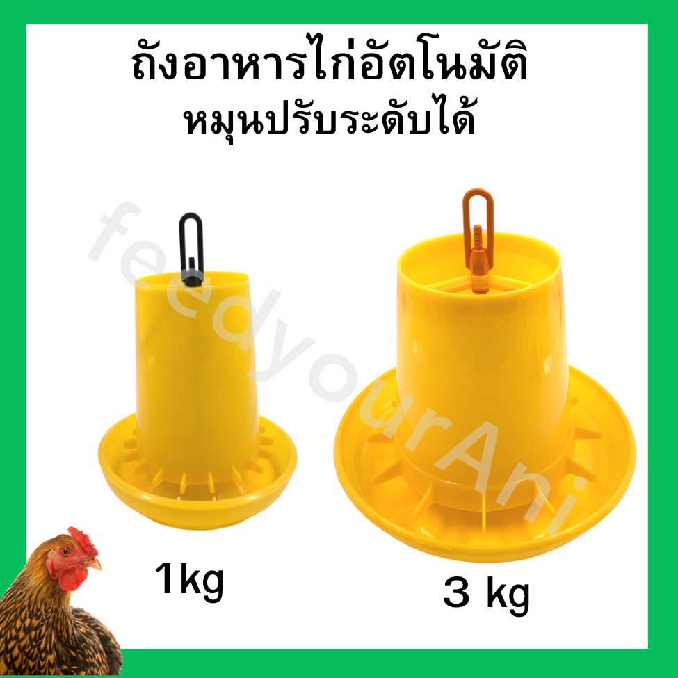 ถังอาหารไก่ ที่ใส่อาหารไก่ถัง ใส่อาหารอัตโนมัติ ที่ใส่อาหารอัตโนมัติ ถังอาหารปรับได้ ที่ใส่อาหารปรับได้ ขนาด1kg 3kg