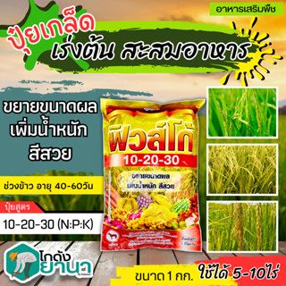 🌾 10-20-30 (ปุ๋ยเกล็ดฟิวส์โก้) ขนาด 1กิโลกรัม ขยายขนาดผล เพิ่มน้ำหนัก สีสวย