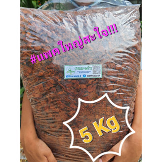 กาบมะพร้าว สับเล็ก (5Kg.) ล้างสารแทนนิน+ฉีดพ่น ไตรโคเดอร์มา+พร้อมใช้ไม่ต้องแช่เพิ่ม พร้อมส่ง