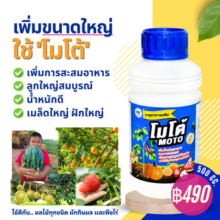 โมโต้ (500 ซีซี) เพิ่มการสะสมอาหาร ทำให้ลูกใหญ่สมบูรณ์ เมล็ดใหญ่ ฝักใหญ่ น้ำหนักดี