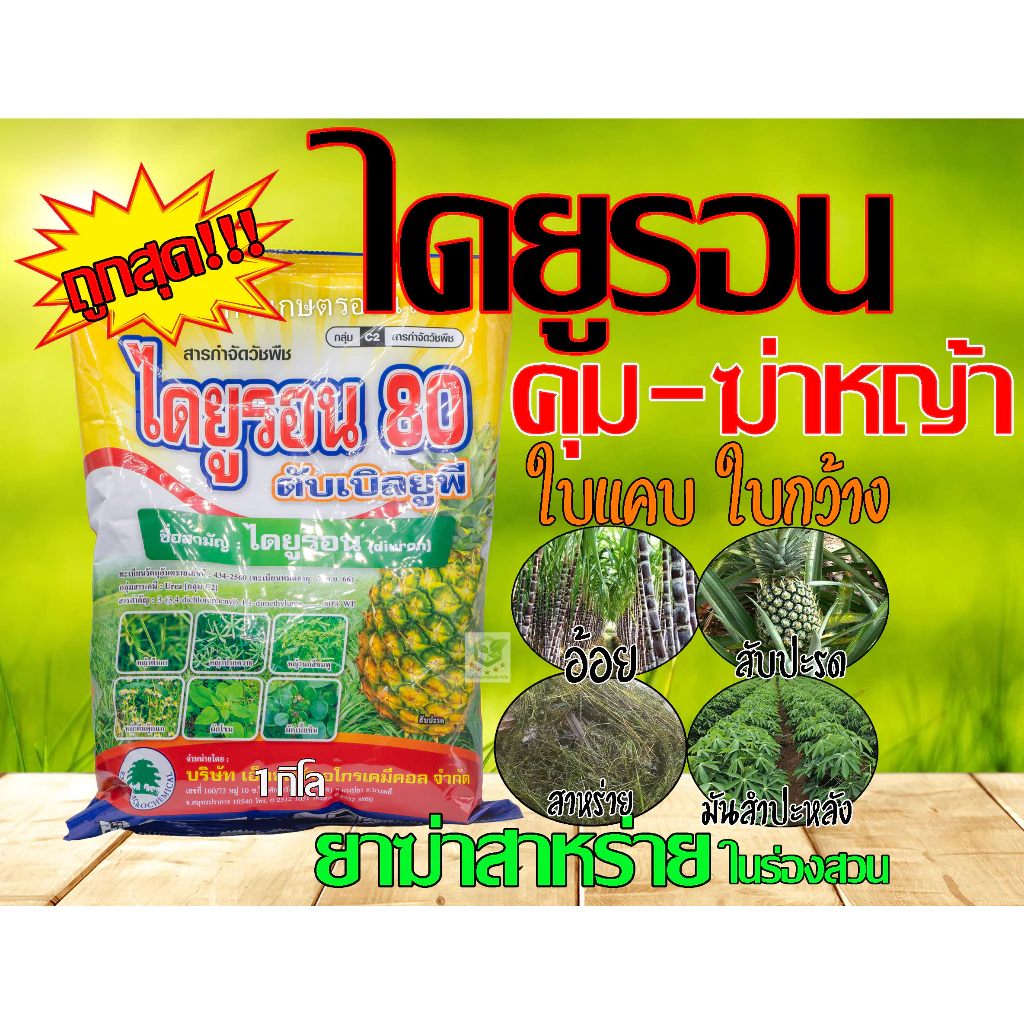 ไดยูรอน 80% (WP) แบบผง สารคุม ฆ่า กำจัดหญ้าวัชพืชในไร่อ้อย สัปปะรด ฉีดทับได้ 1กิโล ยาฆ่าสาหร่ายในสวน ฆ่าสาหร่าย เอ็กซ์ตร