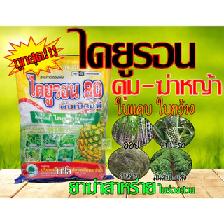ไดยูรอน 80% (WP) แบบผง สารคุม ฆ่า กำจัดหญ้าวัชพืชในไร่อ้อย สัปปะรด ฉีดทับได้ 1กิโล ยาฆ่าสาหร่ายในสวน ฆ่าสาหร่าย เอ็กซ์ตร