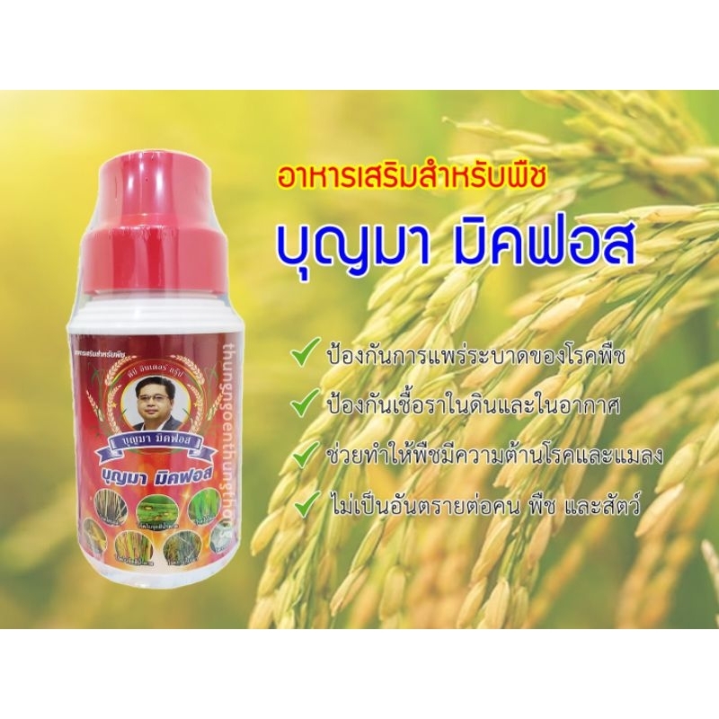 อาหารเสริมสำหรับพืช บุญมามิคฟอส ขนาด 500 ซีซี ของแท้ %