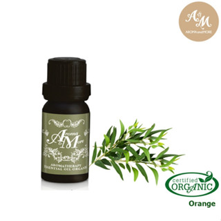 Aroma&amp;More  Tea Tree Essential oil 100% Certified Organic น้ำมันหอมระเหยทีทรี 100% ออร์แกนิก Australia  5/10/30ML