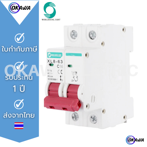 เบรกเกอร์ไฟฟ้า AC 2 pole mcb Mini circuit breaker มีรุ่น 63 A และรุ่น 100A