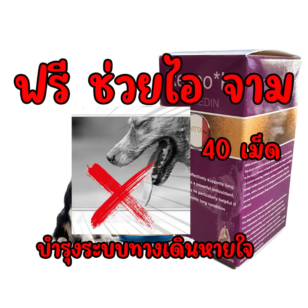 ของแท้ เรสะโพค 40 Table