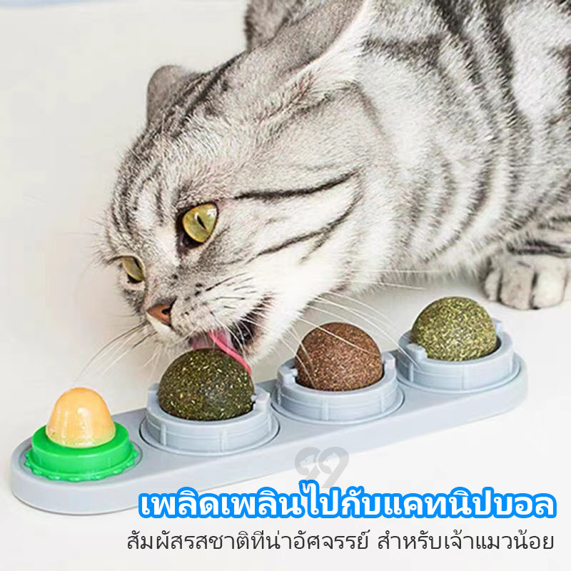 99PET กัญชาแมว ของเล่นแมว หญ้าแมว แคทนิปแมว catnip หญ้าแมว ของเล่นแมวเลีย ติดกำแพง หลากหลายรสชาติ