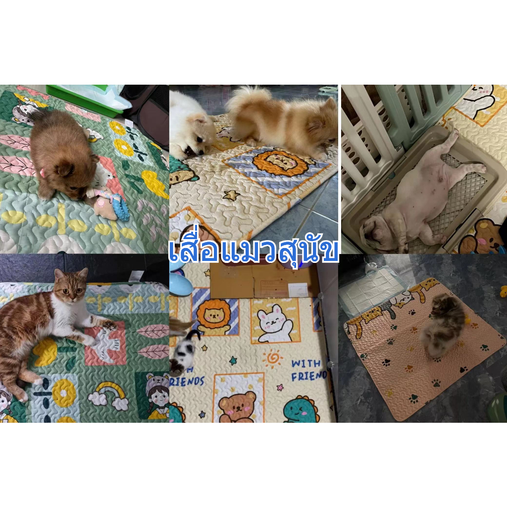 PetStern🏠แผ่นนอนรองกรง เสื่อสัตว์เลี้ยง นุ่มนิ่ม เสื่อแมวสุนัข แมวและสุนัข ผ้าปูกรง ผ้าปูกันรอย ผ้าคอตตอน 100% รูปที่ 6