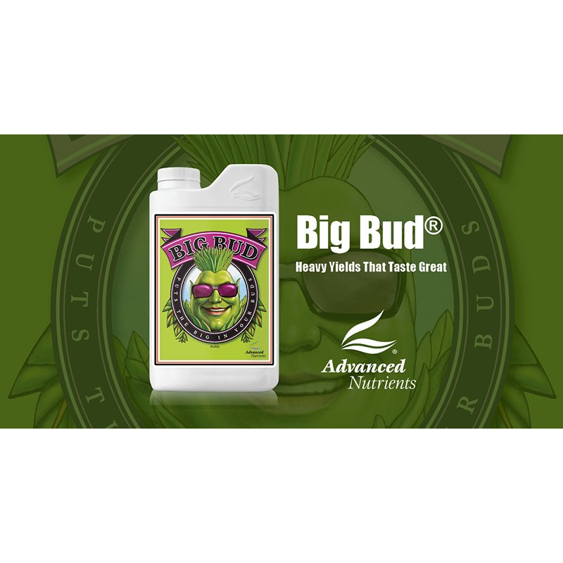 Advanced Nutrients Big Bud ปุ๋ยเร่งดอก แอดวานซ์ นูเทรียนส์ เพิ่มน้ำหนักดอก 500 ml ของแท้100%