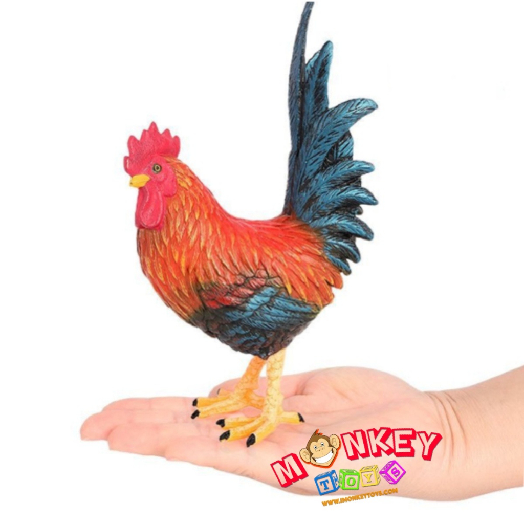 Monkey Toys - โมเดลสัตว์ Chicken ไก่ แจ้ ขนาด 10.00 CM (จากหาดใหญ่)
